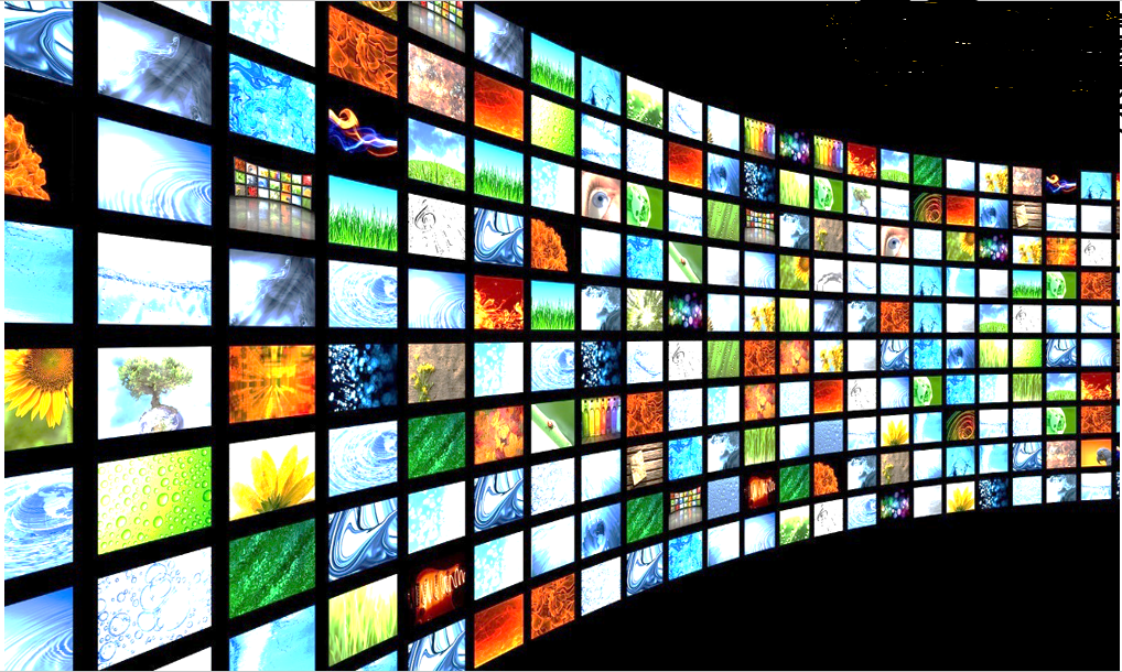 Family Live TV Showcase